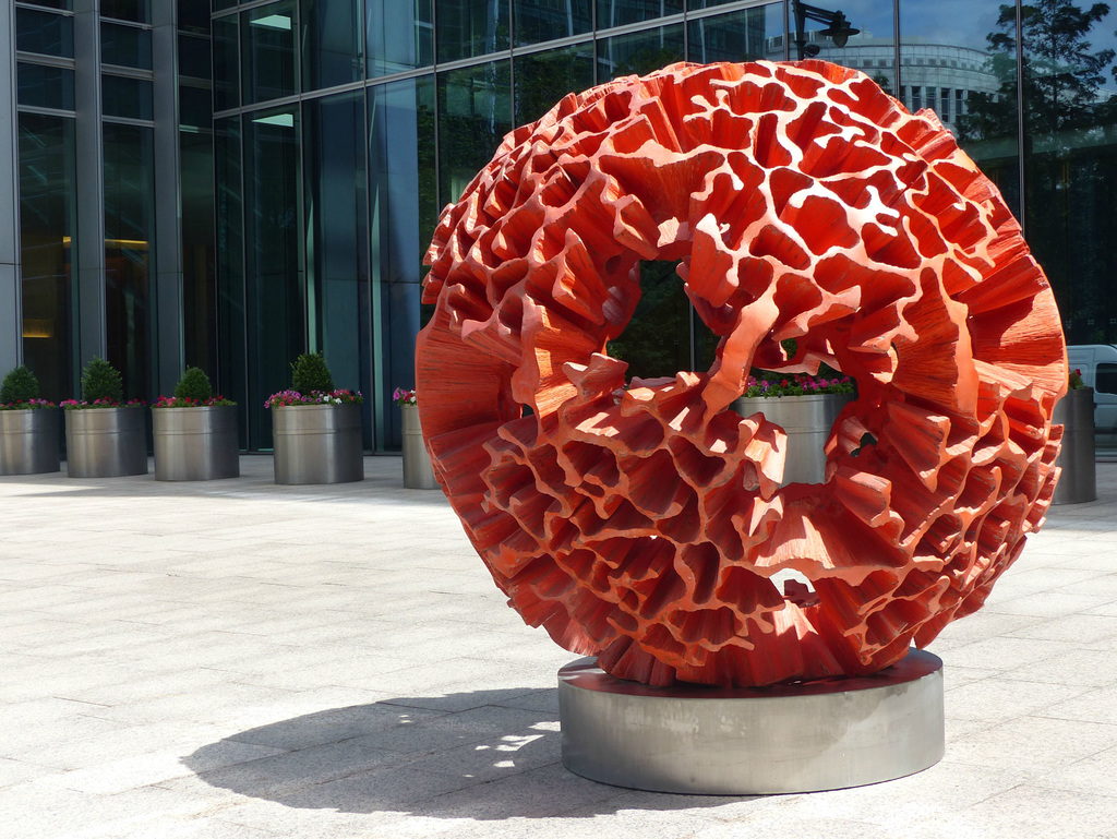 Coquino Coral (1) - 18 July 2015