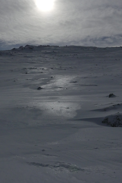 20170211 Raquettes Vercors sud Col de la bataille (46) al