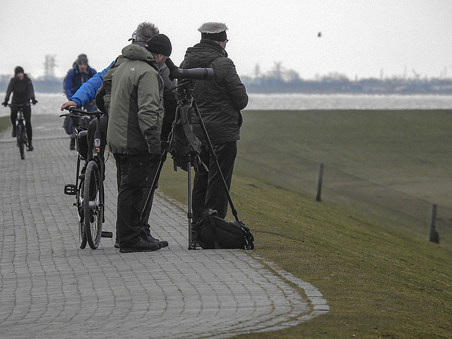 20180404 3526CPw [D~AUR] Michael, Norderney