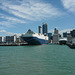 Ships In Auckland Harbour