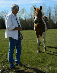 Bob et le cheval