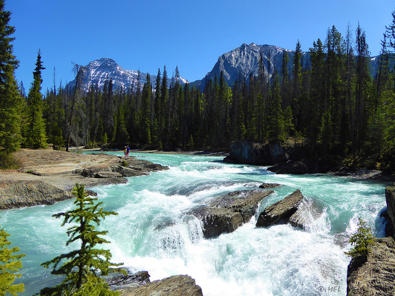 Wasserfall am Kicking Horse Pass