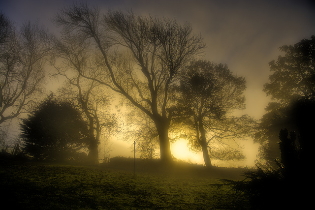 Foggy start to the day