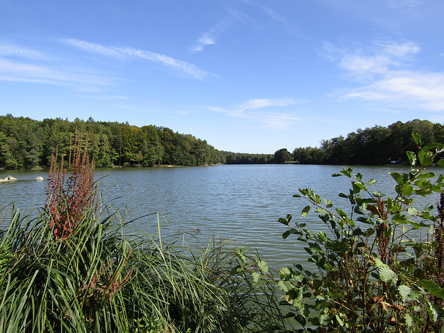 am Rundweg Bodenwöhrer Weiher