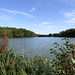 am Rundweg Bodenwöhrer Weiher