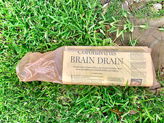 Brain Drain