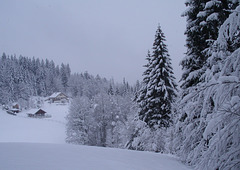 2015 quelque part dans le Jura...