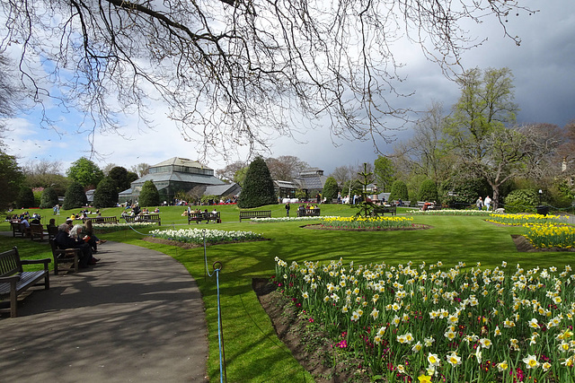 Glasgow Botanic Gardens