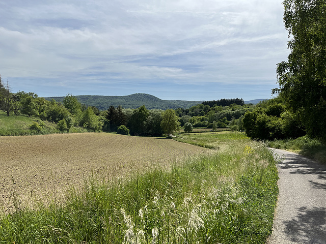 Auf dem Rotweinwanderweg