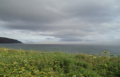 Nuages, mer et végétation