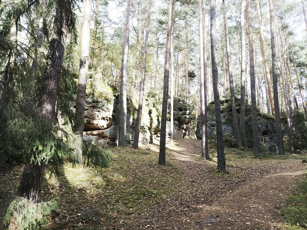 Rundwanderung Meyernberg-Buchstein-Saas