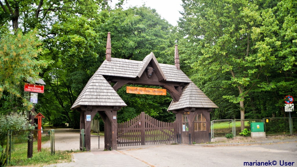 Białowieża National Park