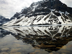 Rocky Mountains Bow-See