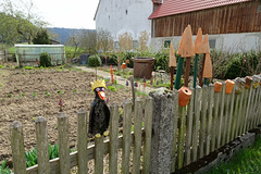 I'm the fence king. Ich bin der Zaunkönig. (HFF!)