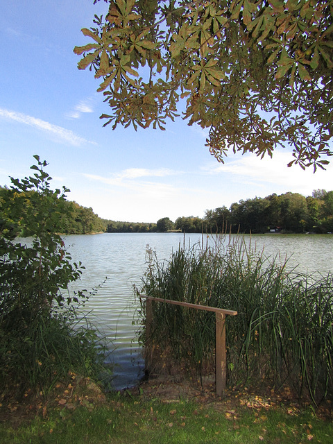 am Rundweg Bodenwöhrer Weiher