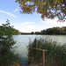 am Rundweg Bodenwöhrer Weiher