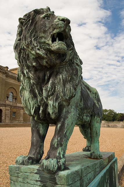 June 23: lion