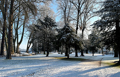 Winter im Kurpark