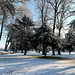 Winter im Kurpark