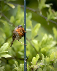 On s'accroche ! On s'accroche !