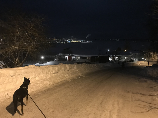Östersund at night