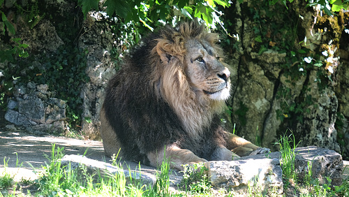 BESANCON: 2019.06.01 Visite de la Citadelle de Besançon 021