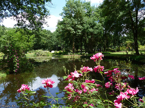 Doué la Fontaine (pays de Loire)