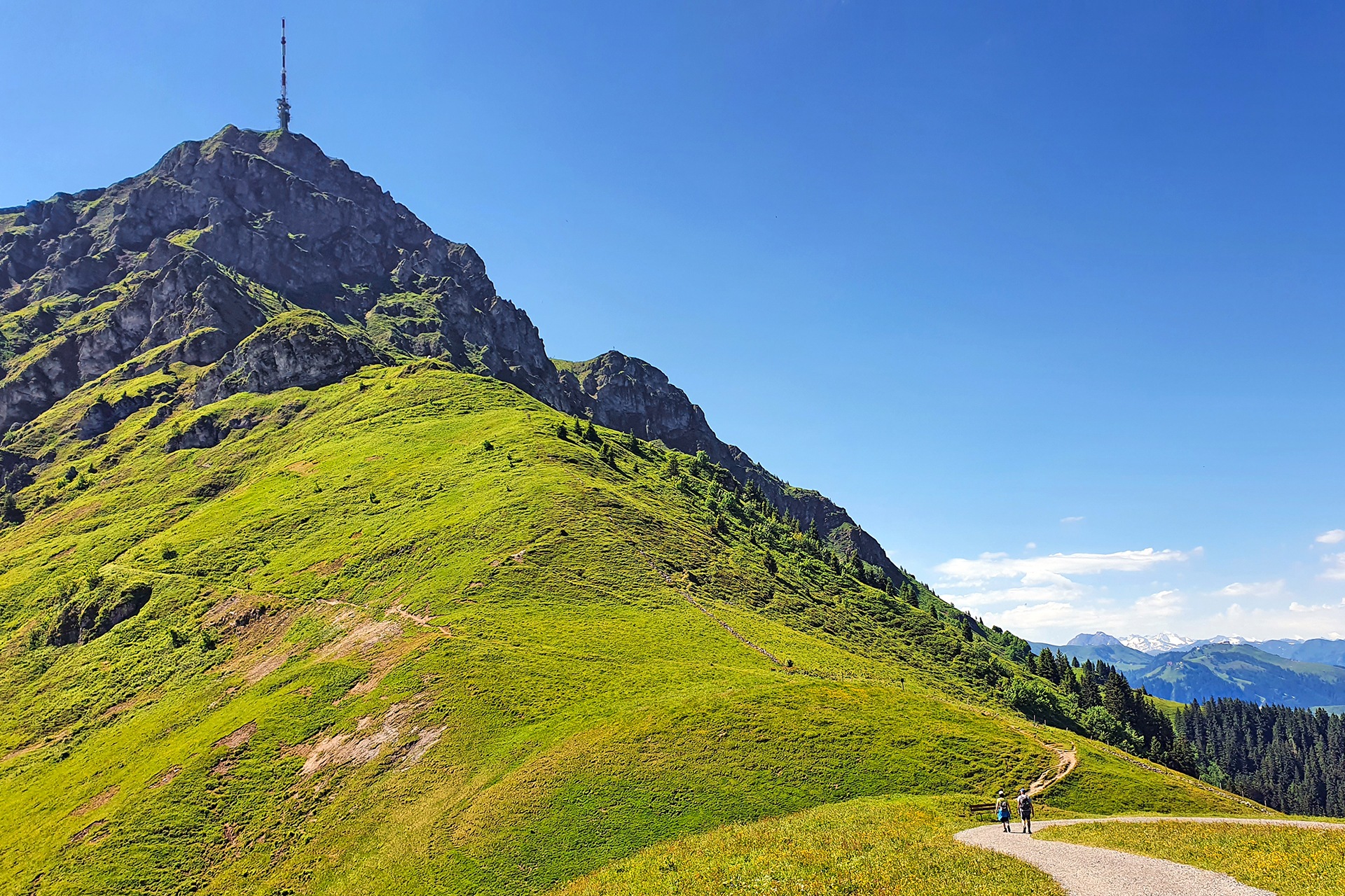 Kitzbüheler Horn (1.996 m)