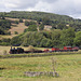 Summer steam