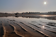 EOS R6m2 Peter Harriman 16 05 30 3437 wetmouthBeachWideLowTide dpp