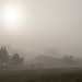 Misty Morning - DSB 2503