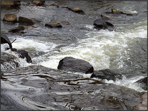 Zisterzienserabtei Himmerod, Eifel 042