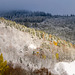 the first autumn snow...today