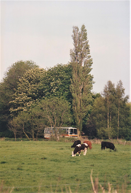 Suffolk County Council RGV 690W between Barton Mills and Mildenhall - 22 May 1991 (141-25)