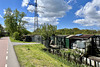 Allotment gardens