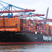 HAMBURG EXPRESS