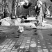 Spring is in the air