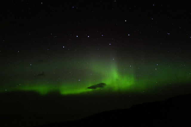 Faroe Islands, Aurora borealis, Northern lights, windy night L1010851