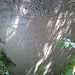 penshurst church, kent (22)c19 slate gravestone of john winter +1845, somewhat buried in the trees and hard to photo