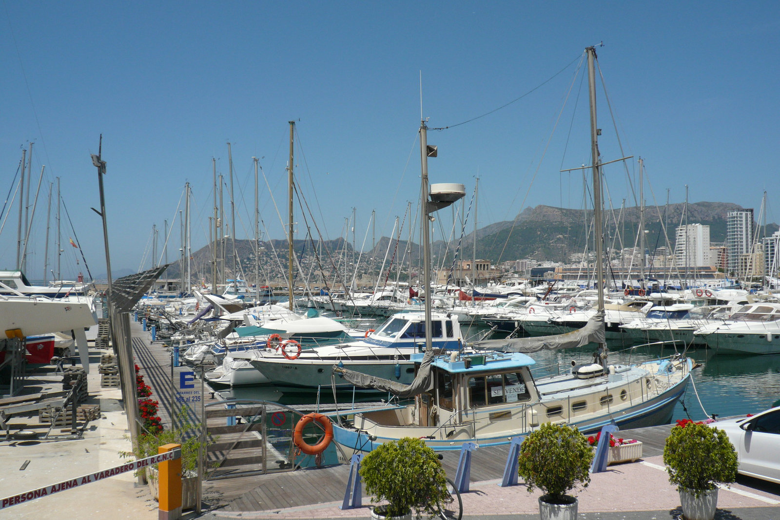 Calpe Marina