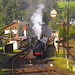 VÖ0000263