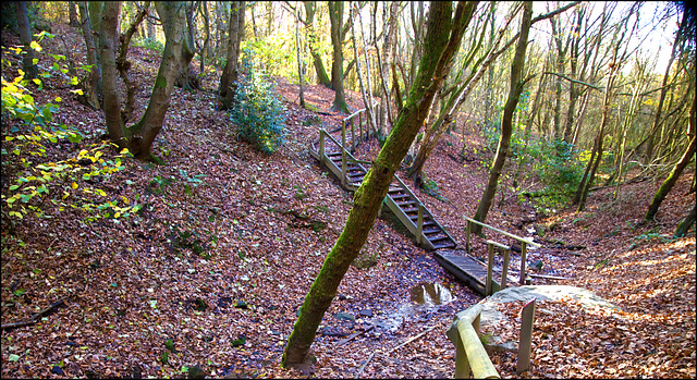 Another from Oakwell Hall