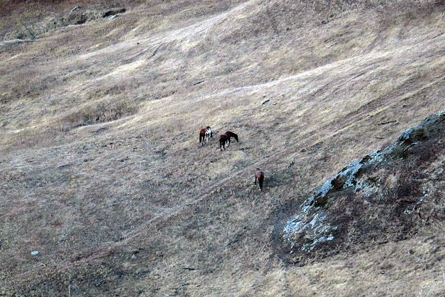 View From Julie Andrews Point (1300)