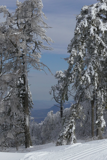 20170211 Raquettes Vercors sud Col de la bataille (50) al