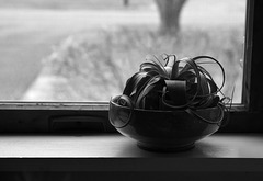 Air Plant Still Life