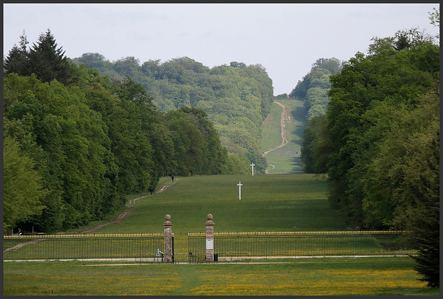 allée des beaux monts depuis le palais royal de compiegne .....