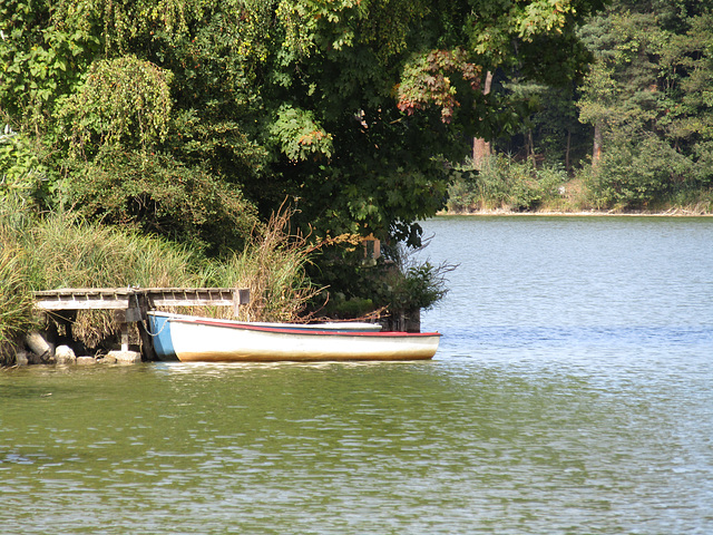 am Rundweg Bodenwöhrer Weiher