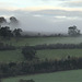 Scottish morning mist...