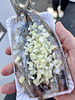 Herring