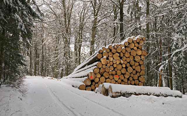 Holz Stapel am Weg zum Hagen
